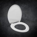 Parryware Petite Plus Toile Seat Cover regular close | White PP Seat Cover for Bathroom Fixtures | Toilet Spare | E83091C