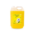 Parryware Floorclean Disinfectant Floor Cleaner - Superlime Fragrance (5L Pack) | 99.9% Germ Protection | Enhances Cleaning Property | FCFC0305