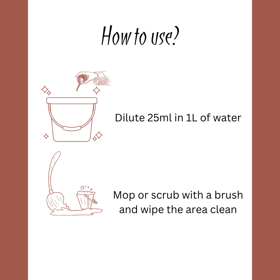 Parryware Floorclean Star A1 | Quick action on stains without damaging the surface | Suitable for all types of surfaces | FCFC0705